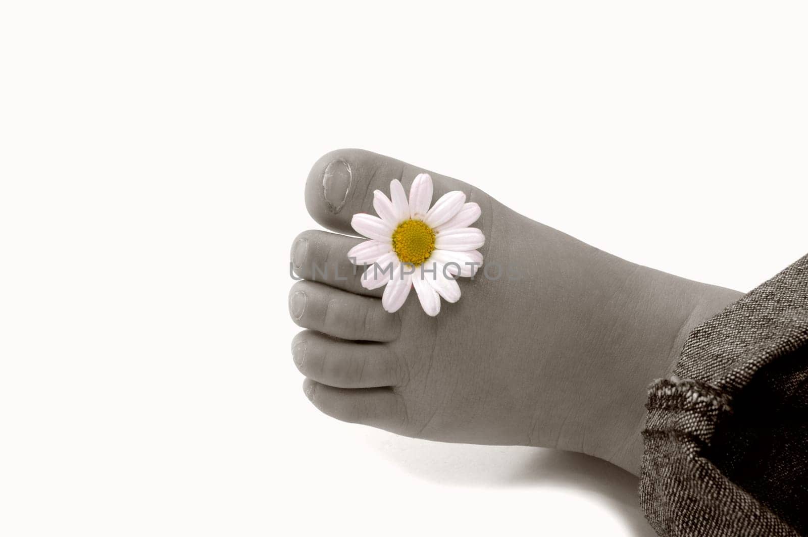 Small Foot