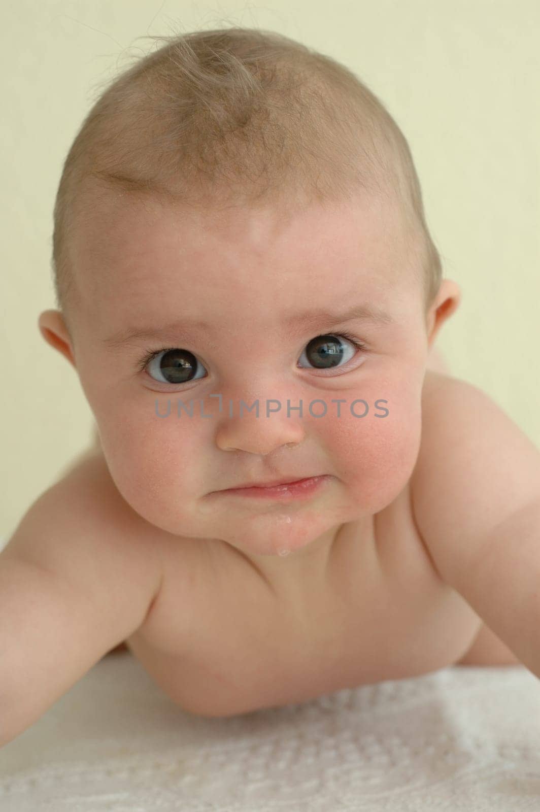 Baby Portrait