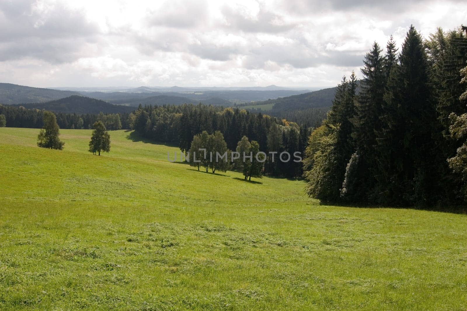 High Meadow