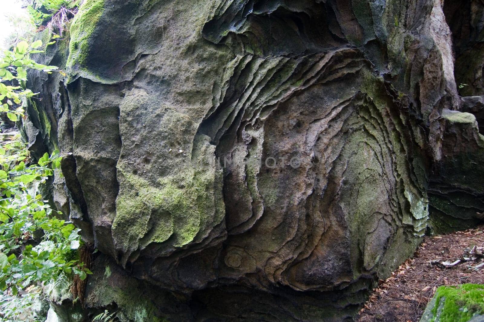 Shell Stone