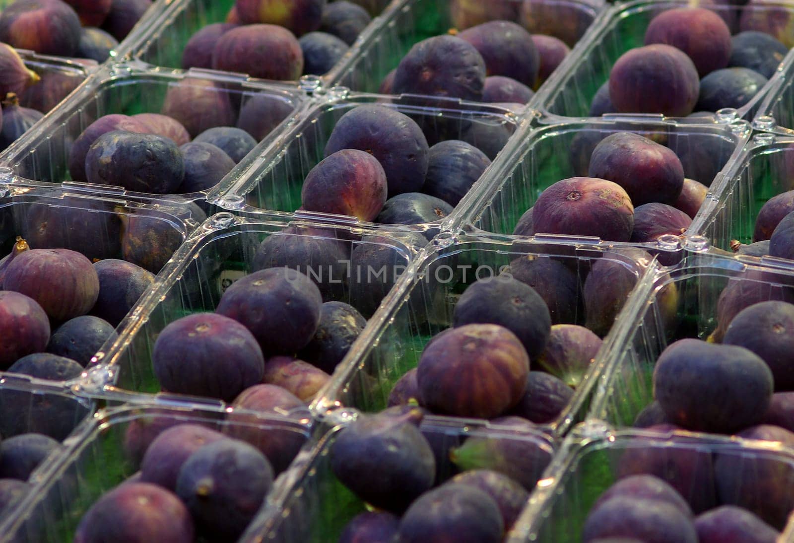 Figs