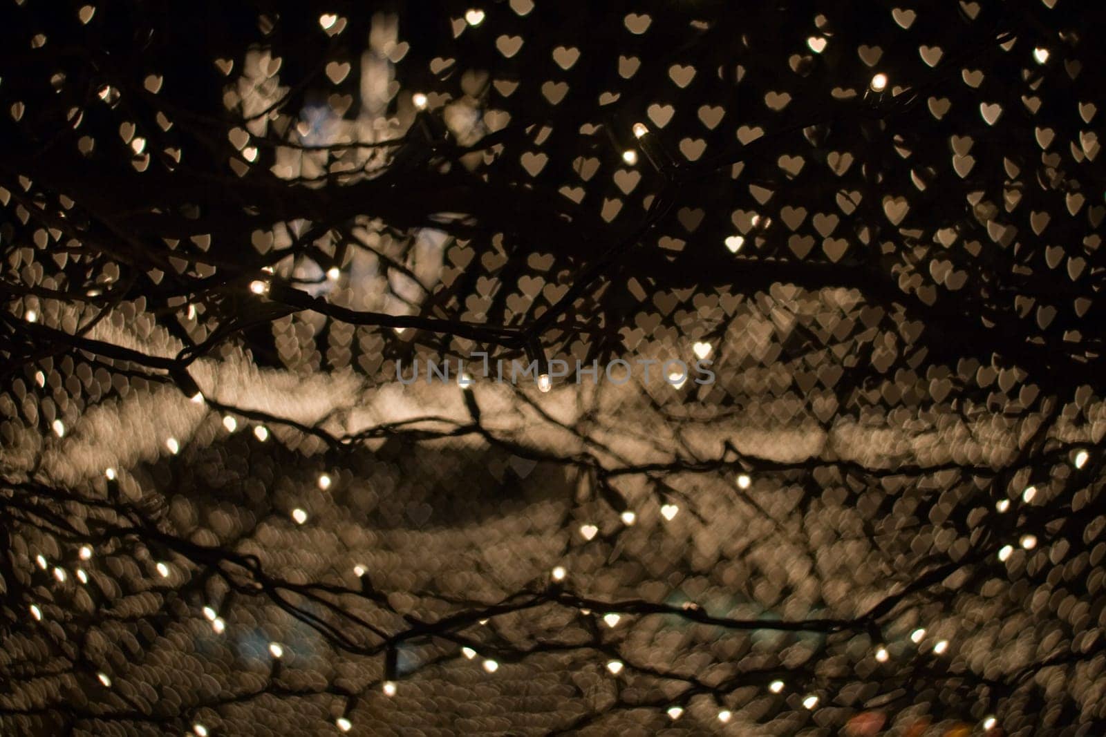 Warm Lights