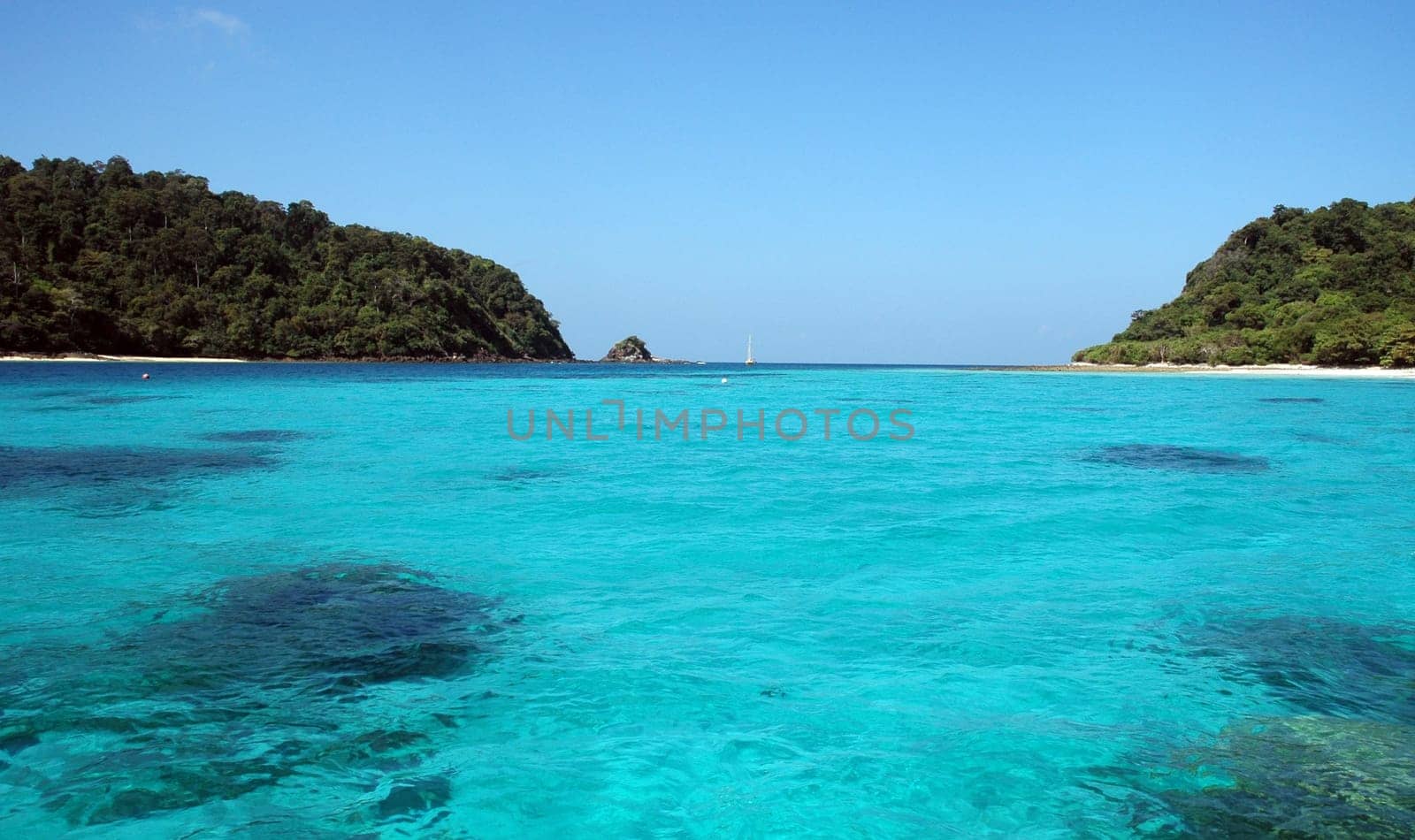 In Paradise