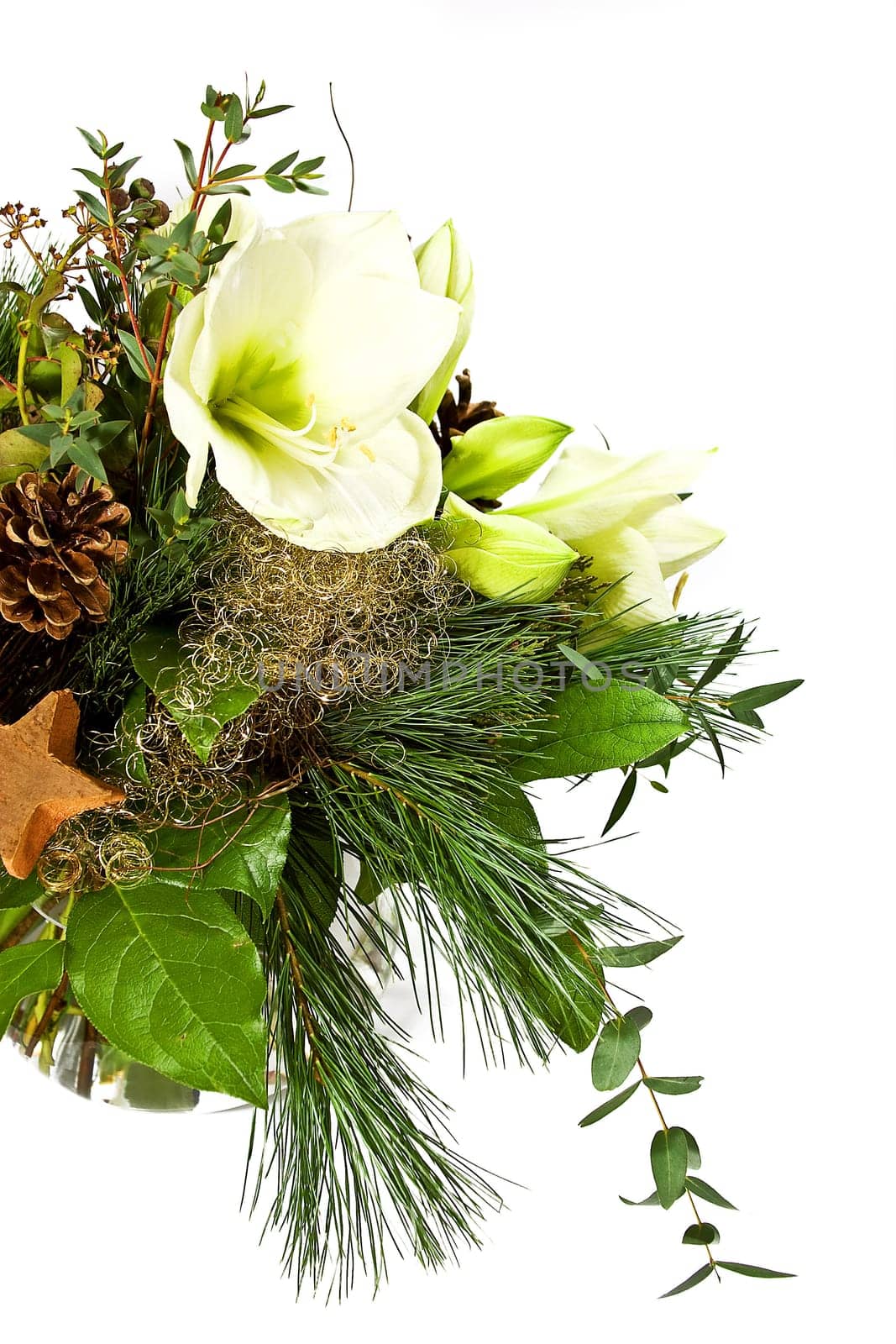 Floral greeting at Christmas