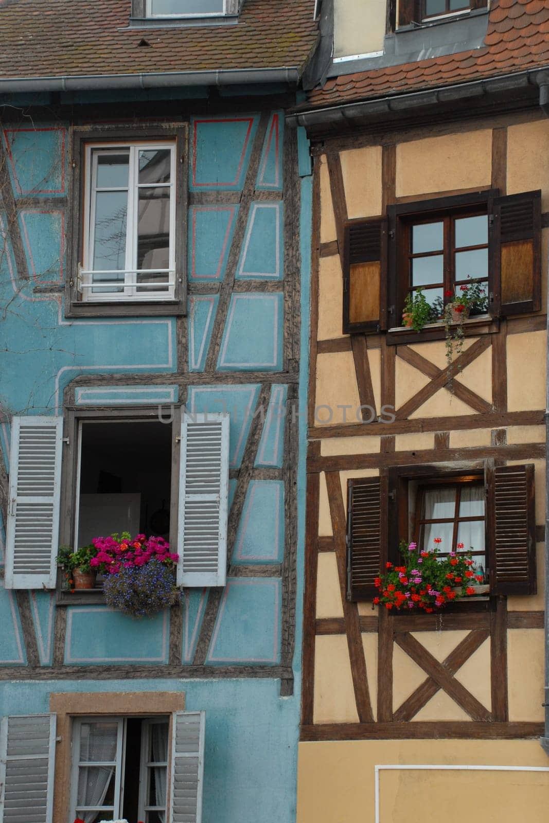 Colmar Colorful Houses