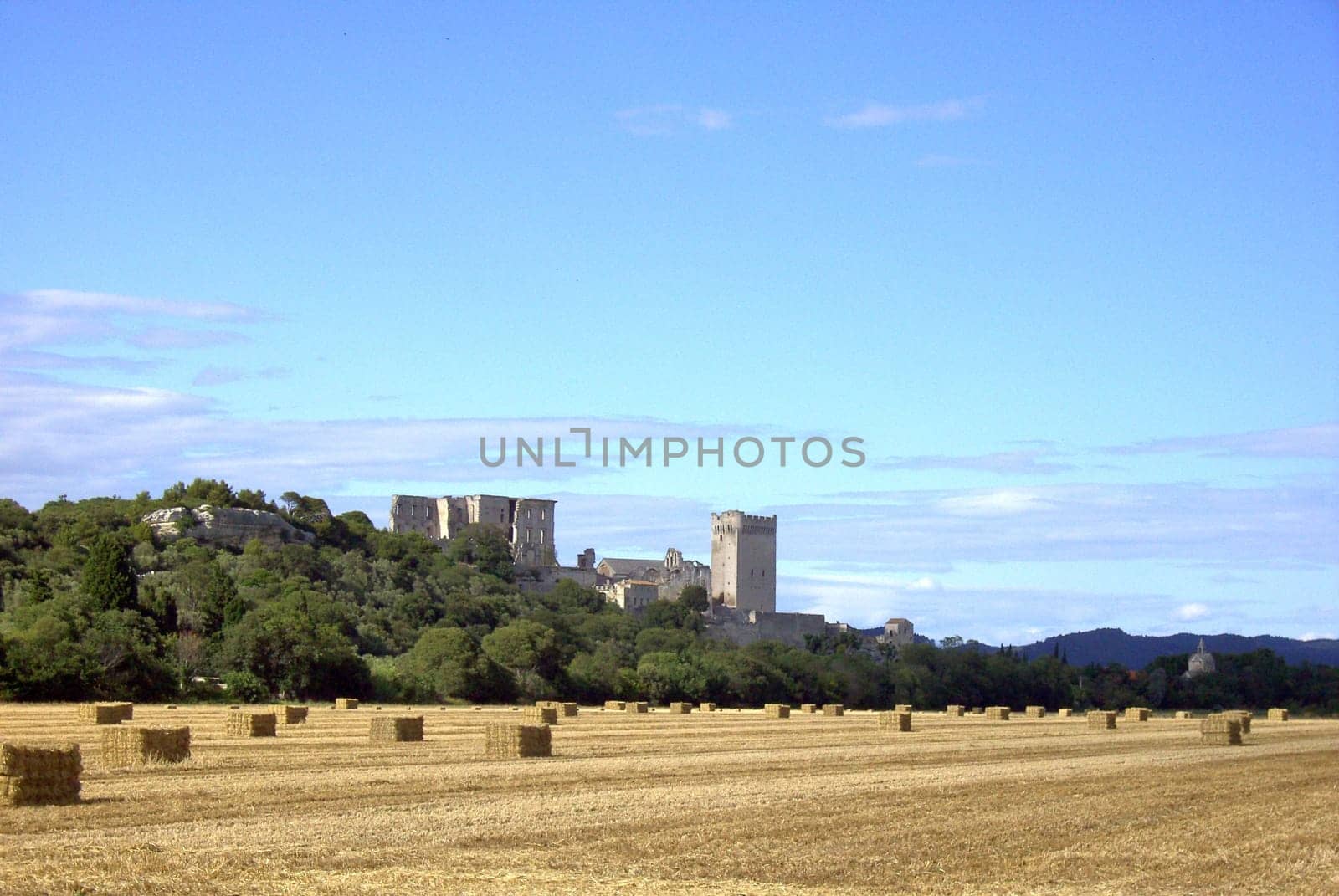 Abbaye de Montmajour 04