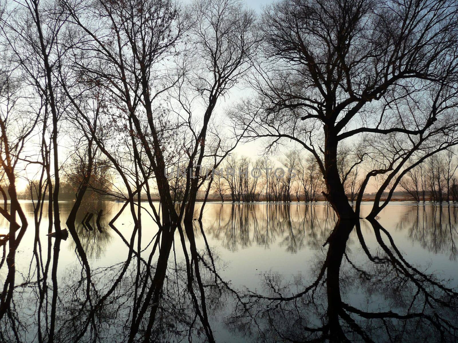 Flood
