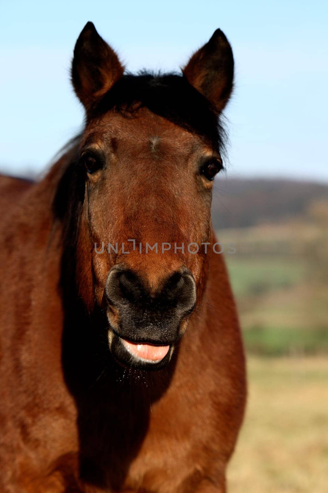 meanwhile he's doing it on Komando :-) What?? stick your tongue out!