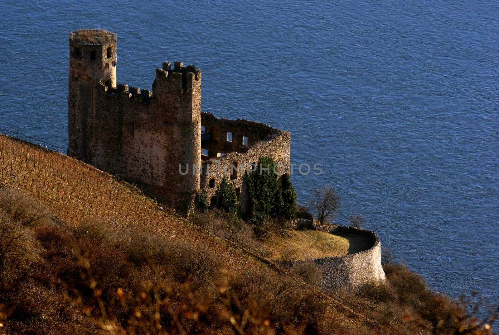 Ehrenfels Castle Ruins