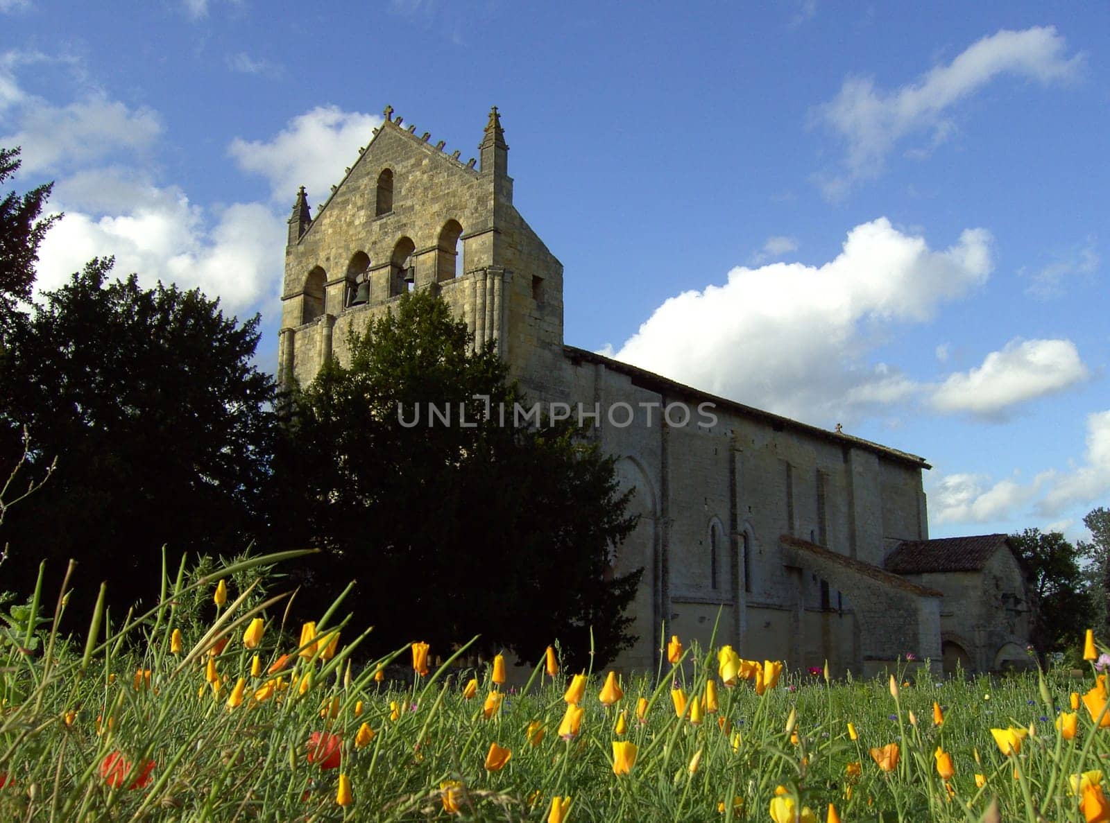 Blasimon 02