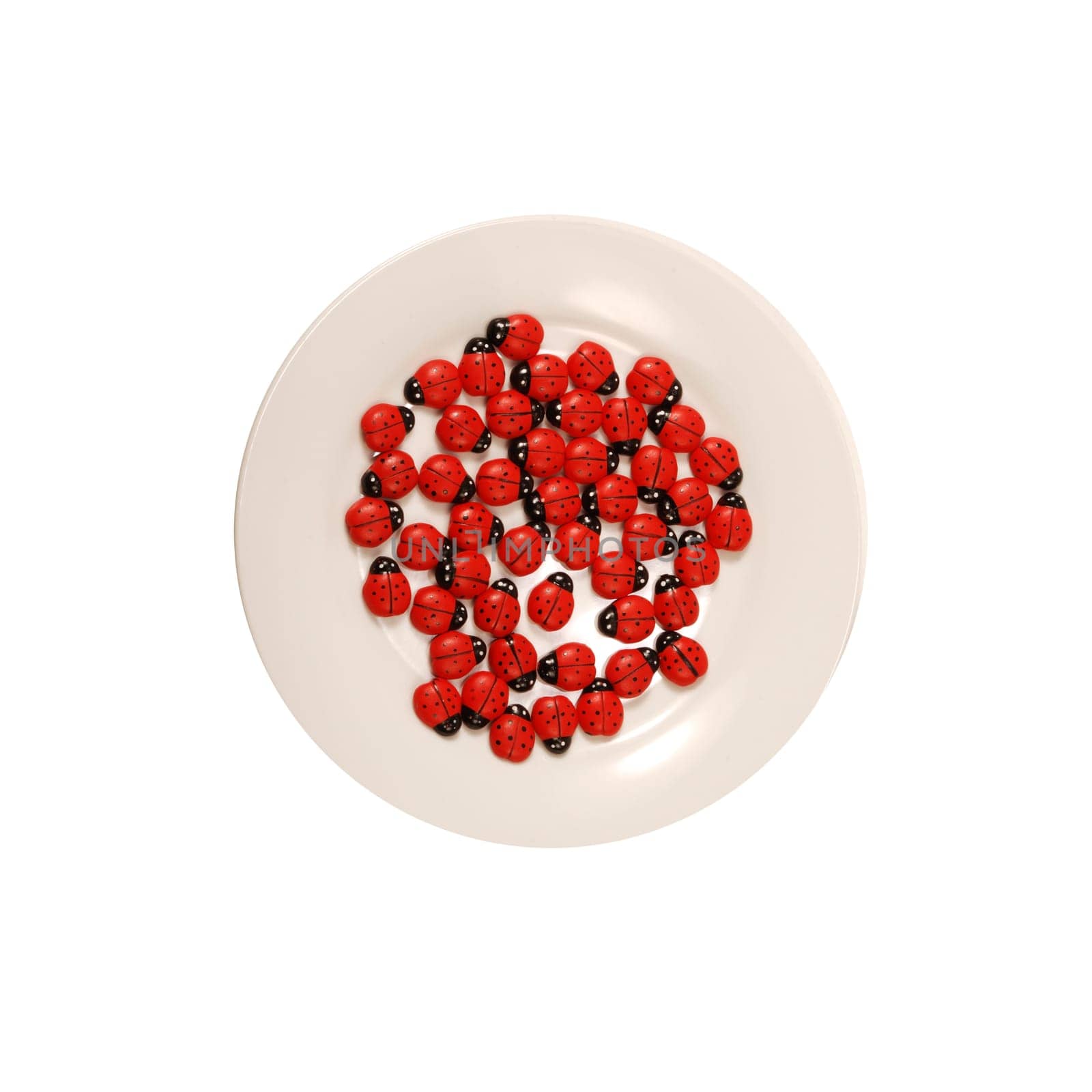 Plate of lucky bugs from above