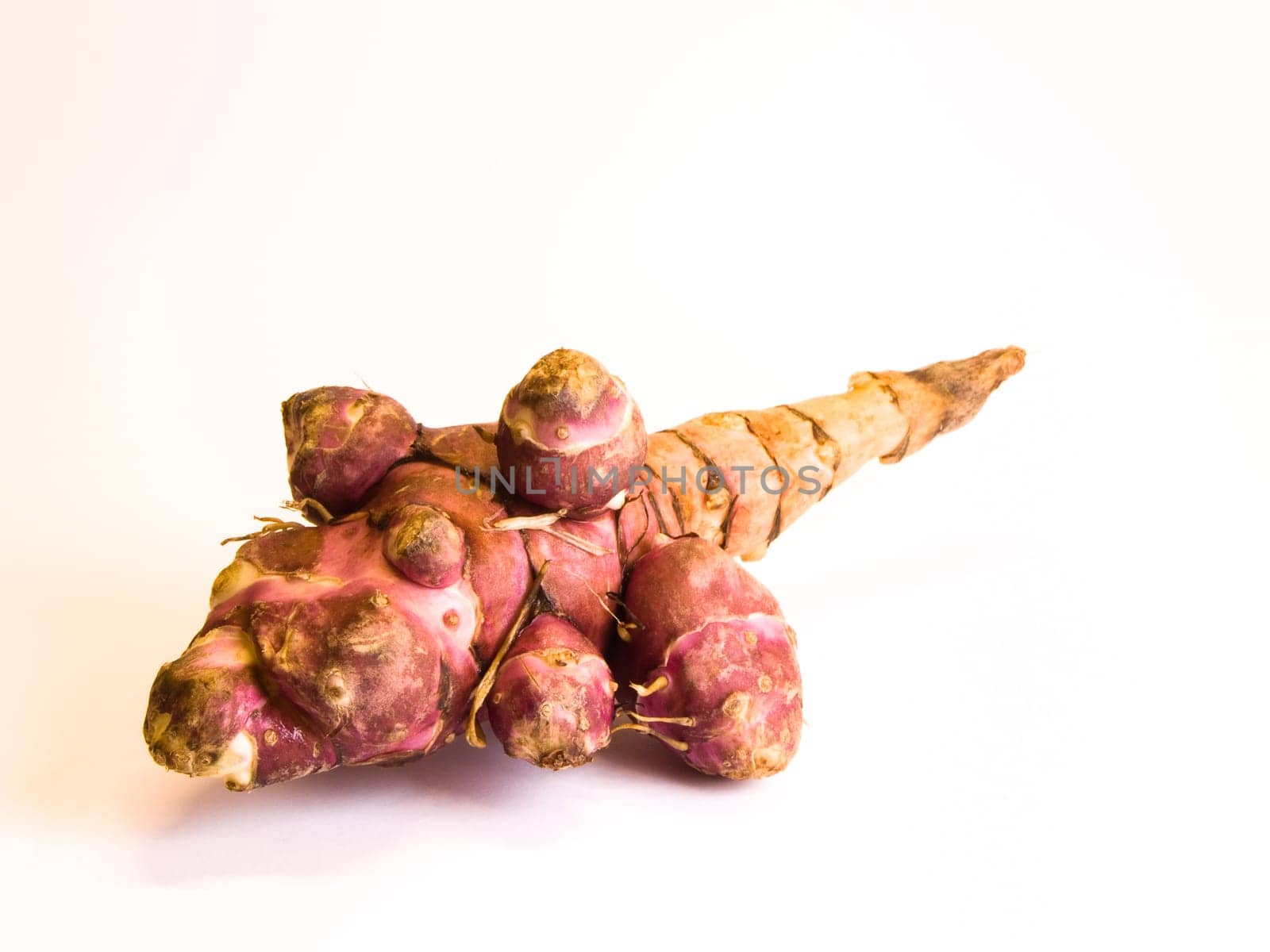 Jerusalem artichoke