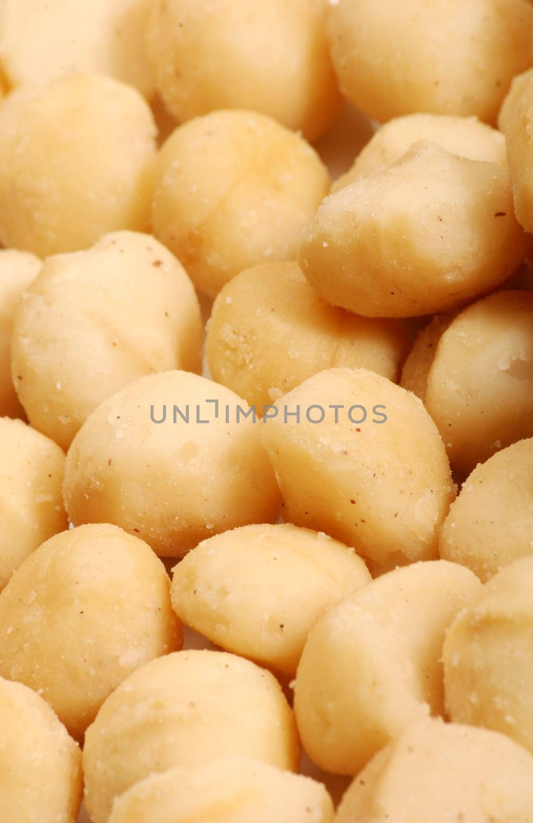 Macadamia Nuts