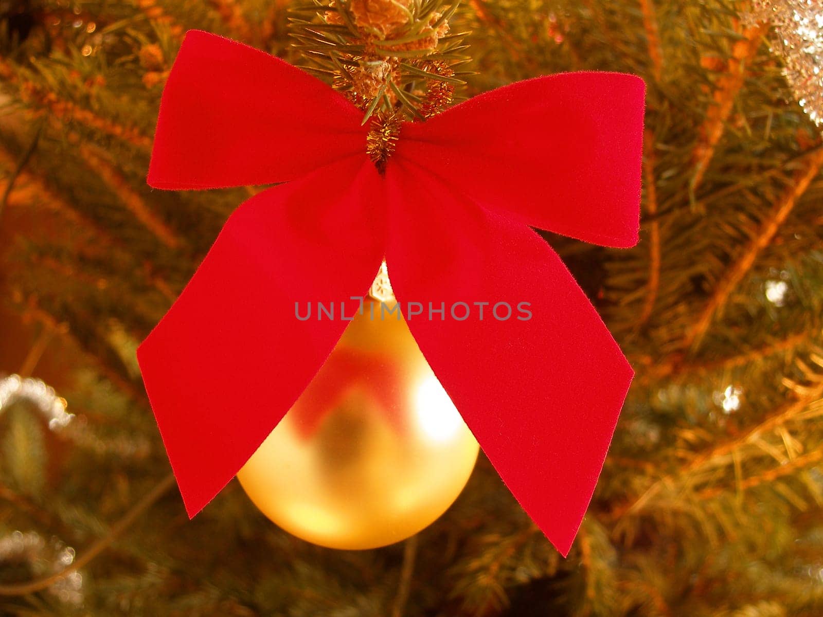 At the Christmas tree