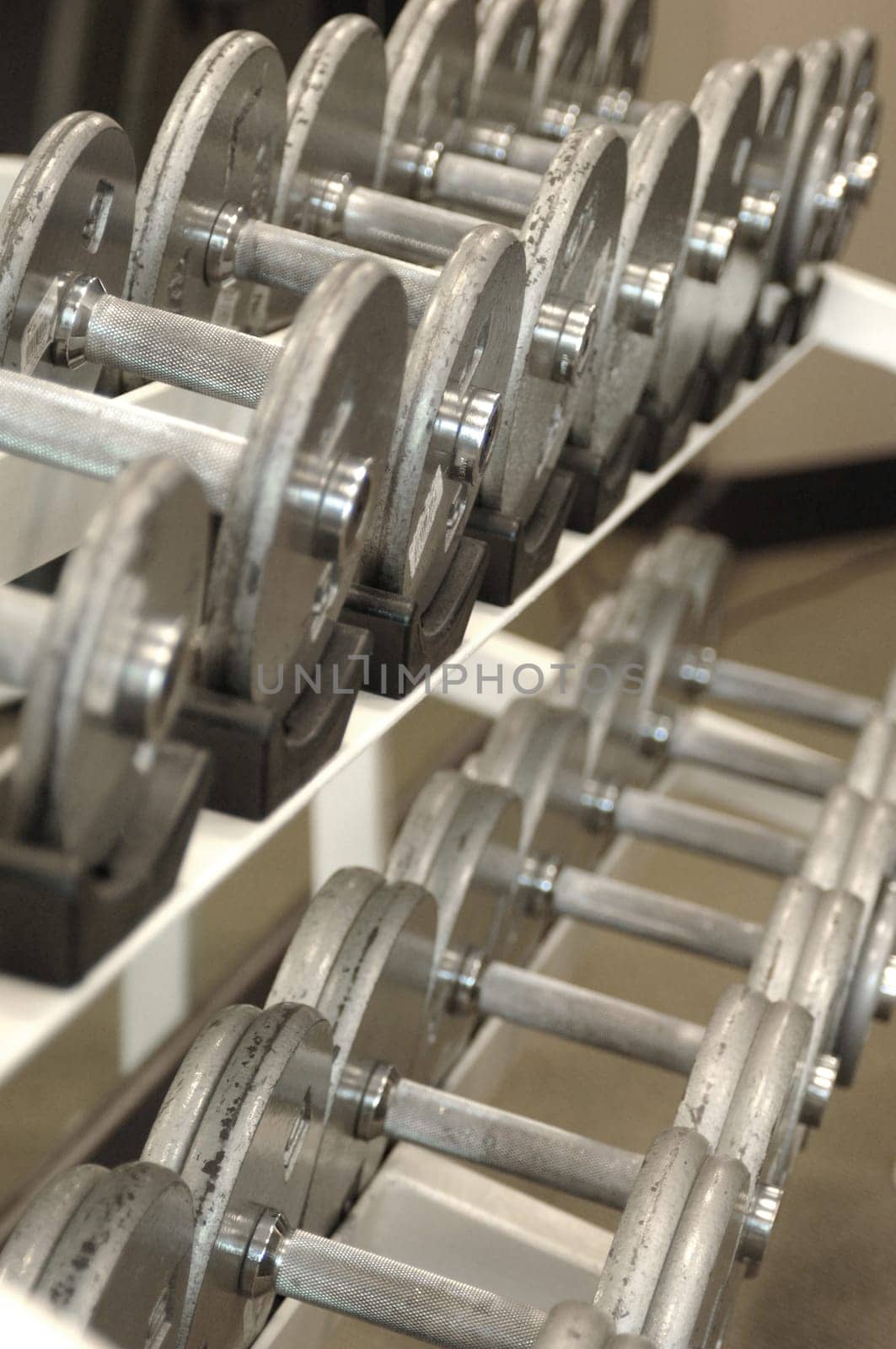 dumb bells