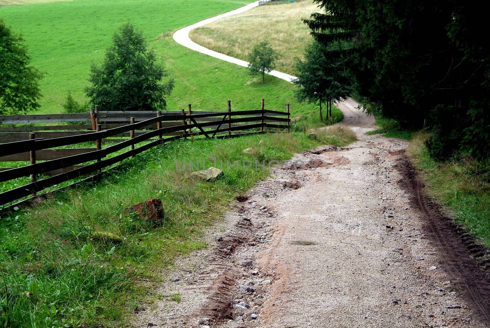 The Way