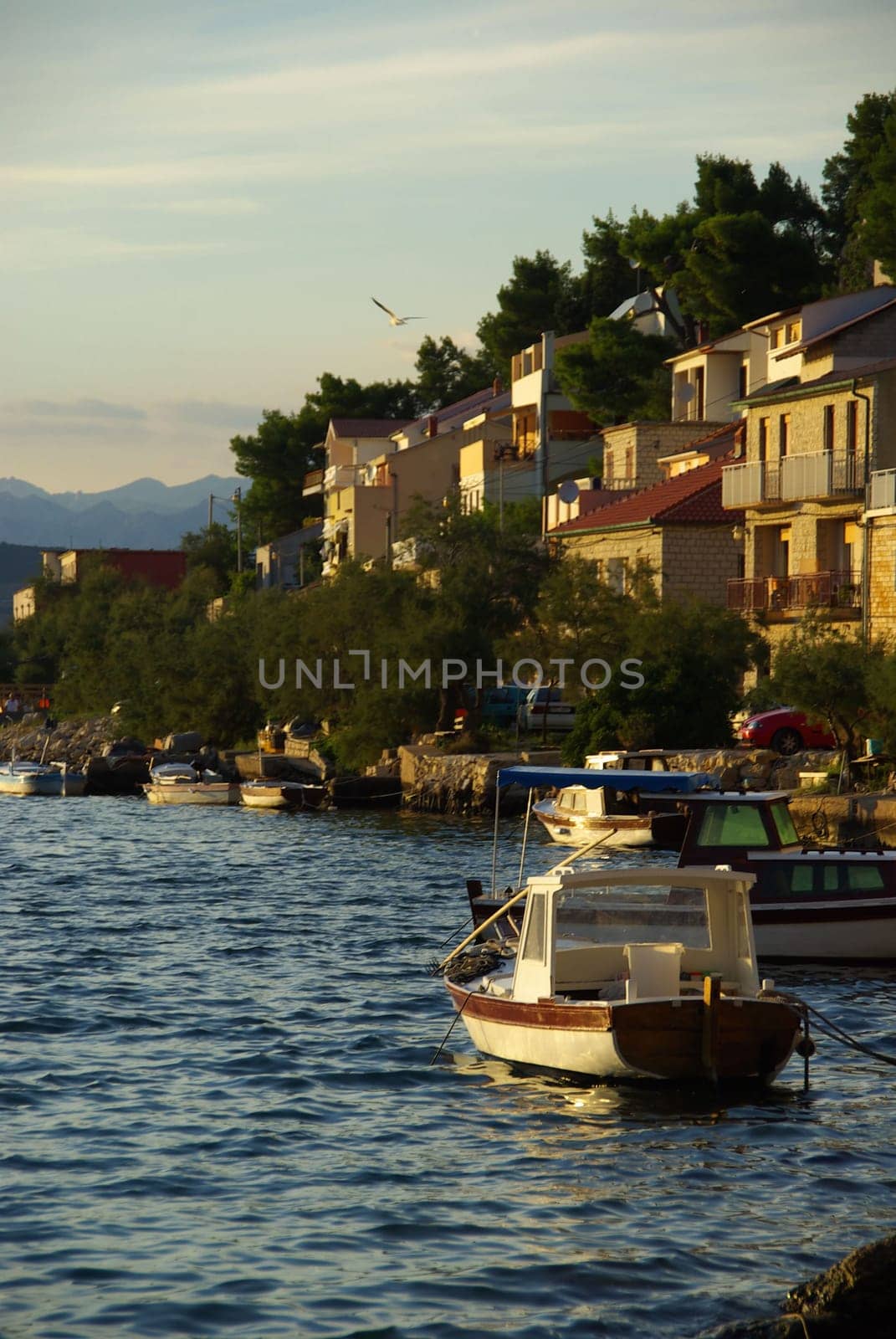 Novigrad 08