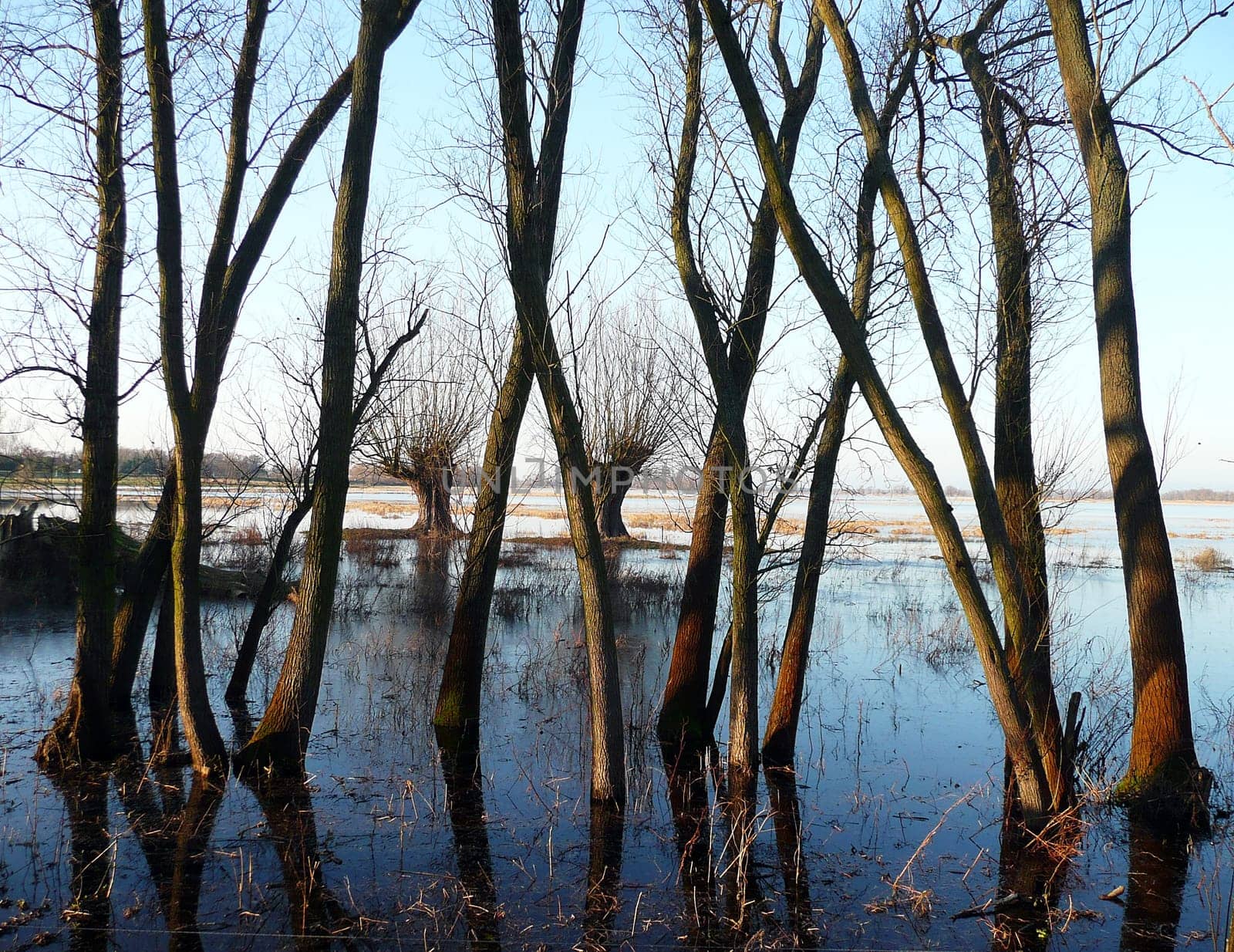 Flood