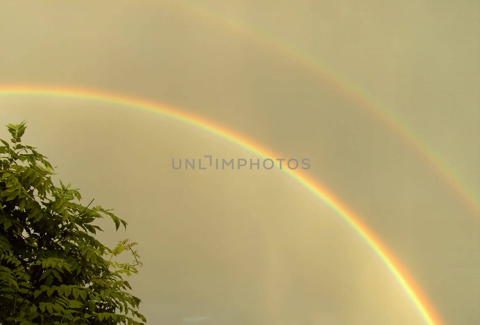 Rainbow 01