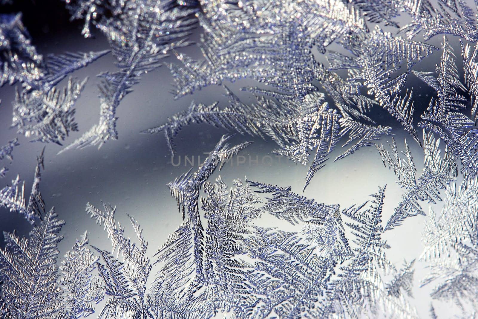 Ice Flowers