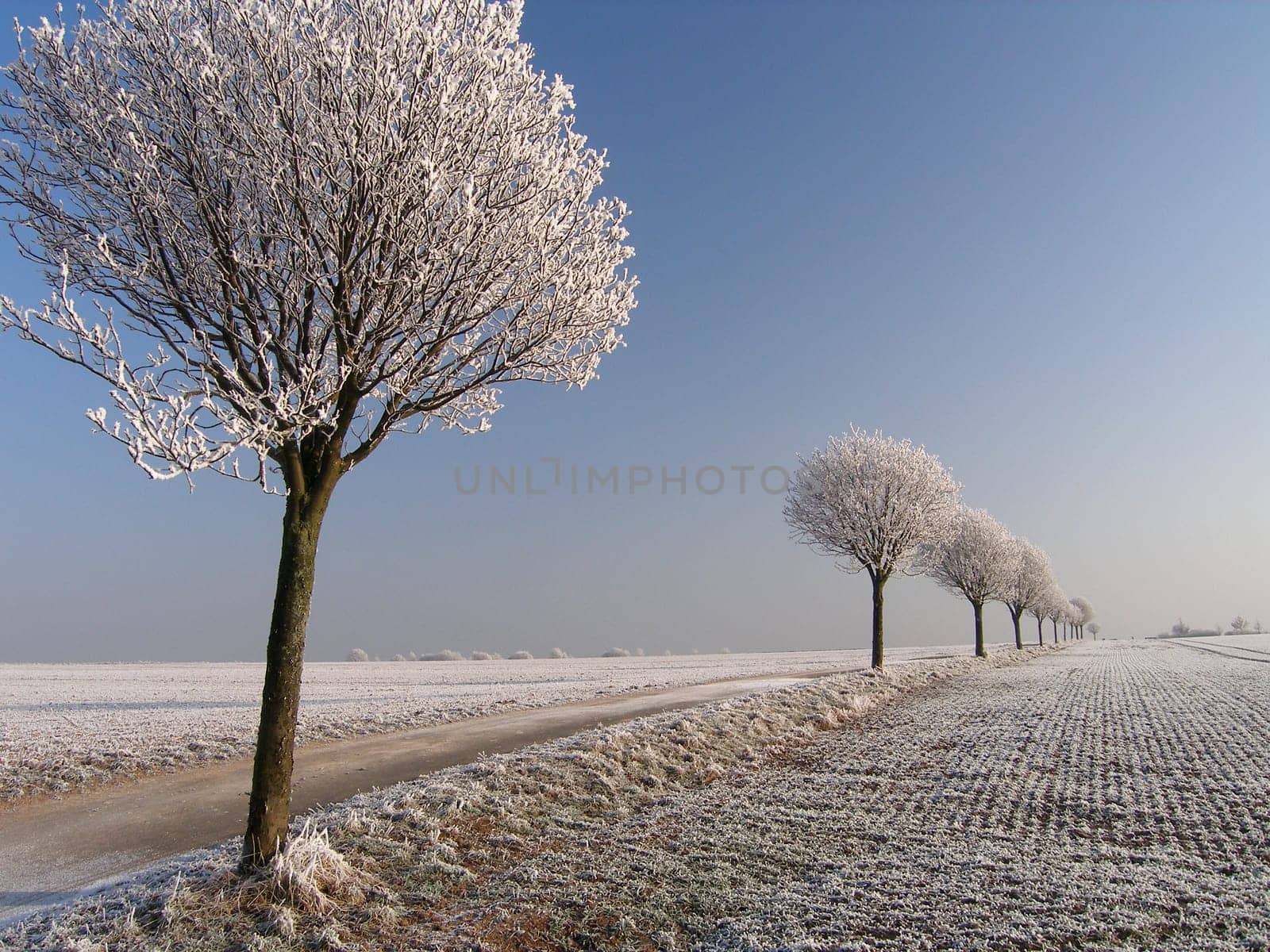 Hoarfrost