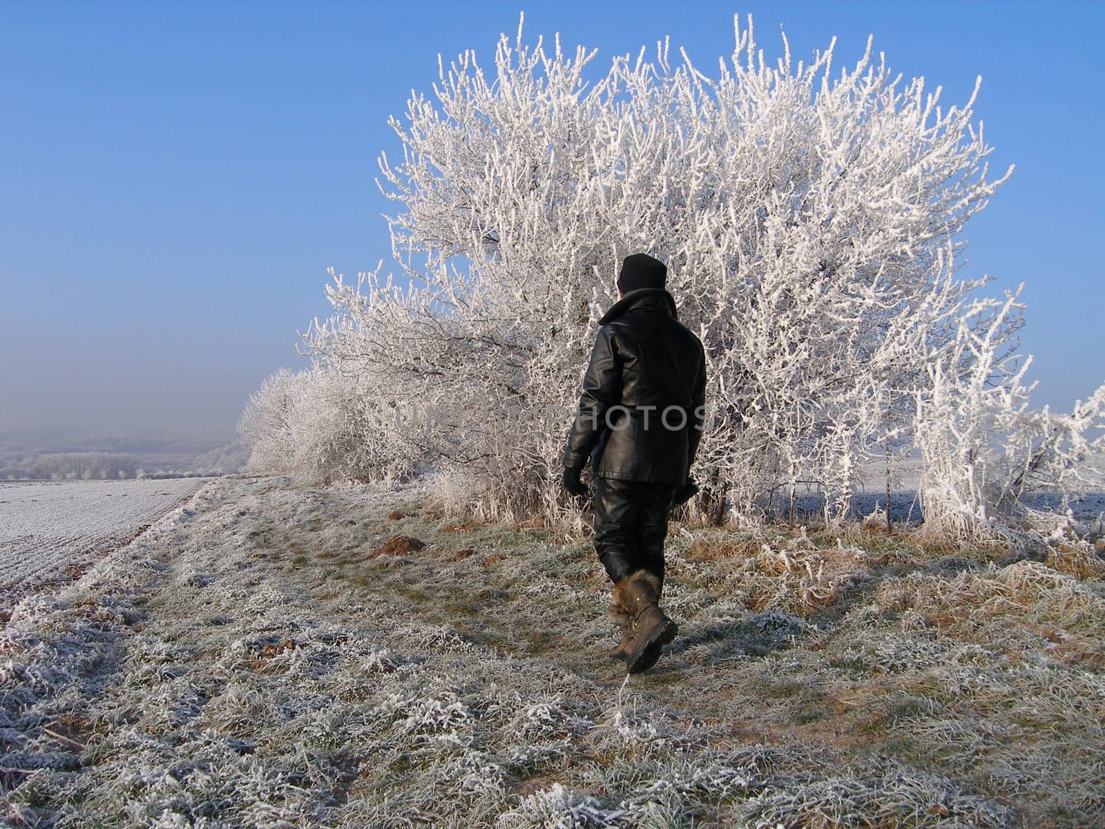 At the edge of the field...