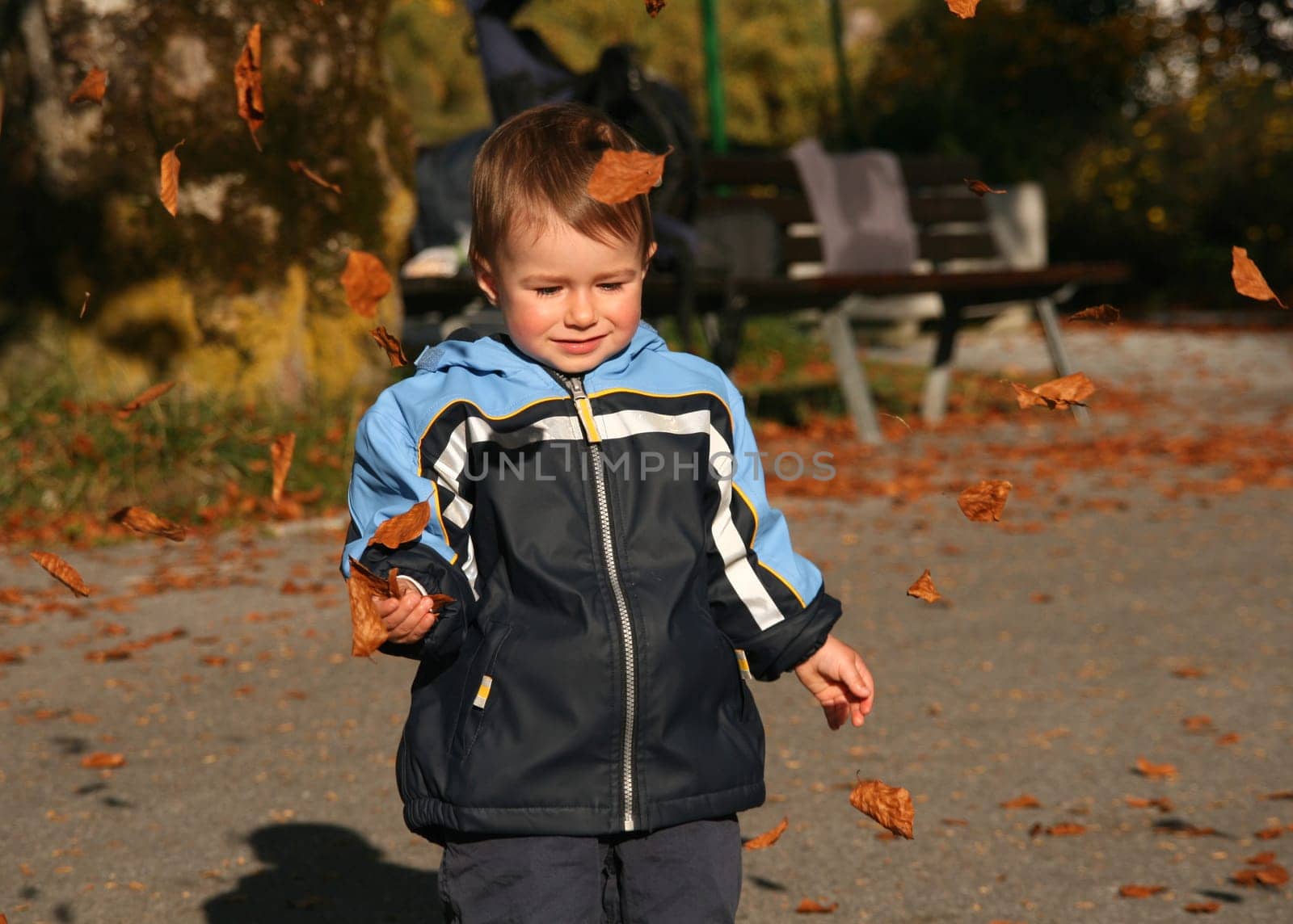 Child with autumn leaves