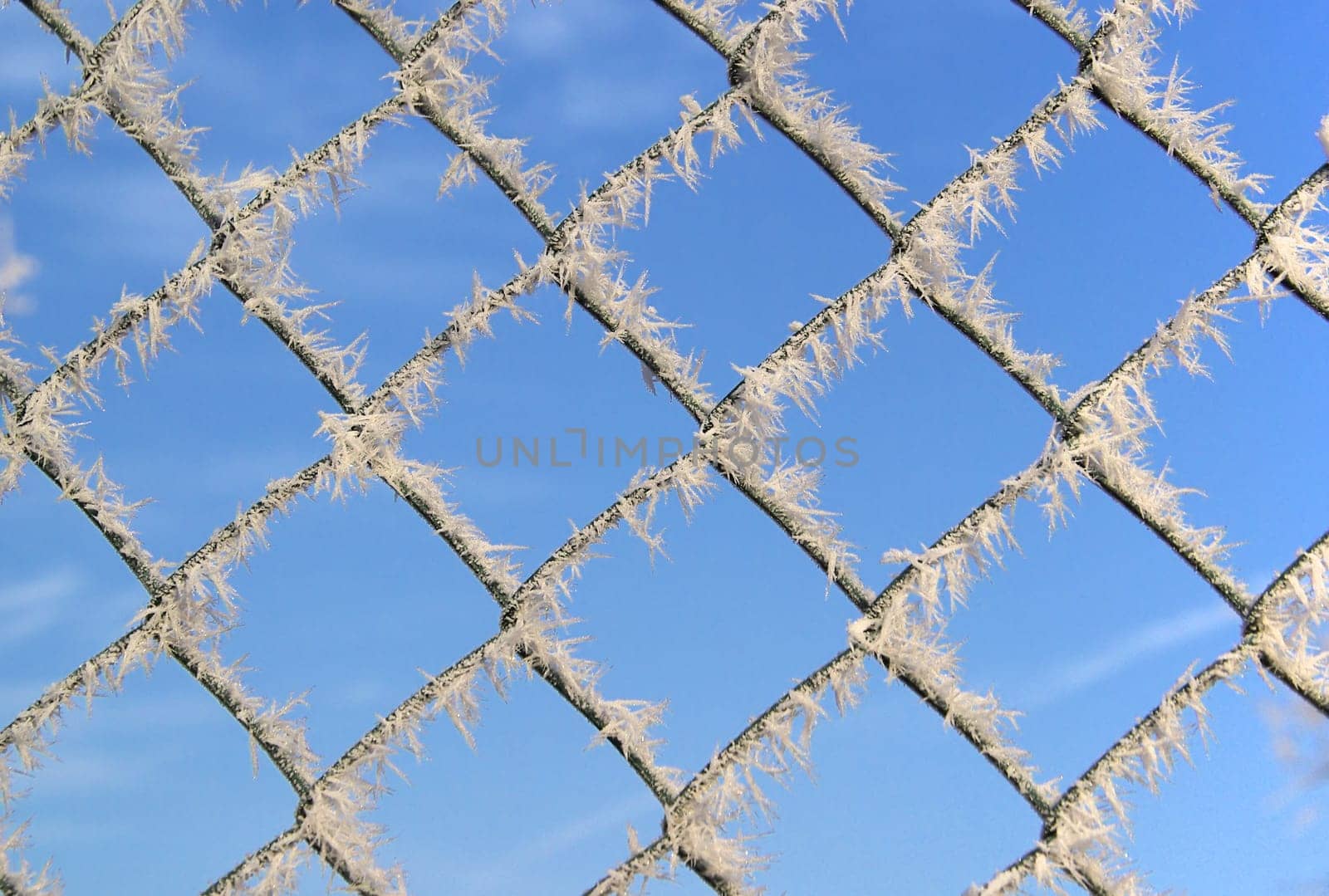Wire mesh 01