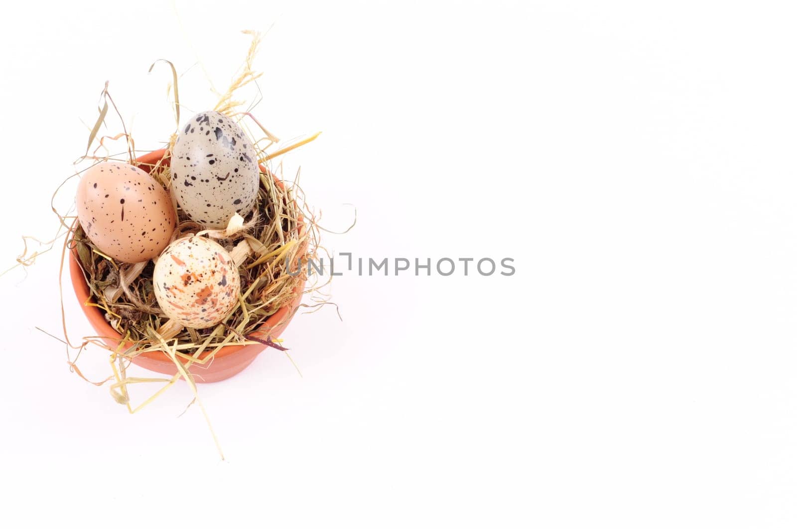 Easter Pot