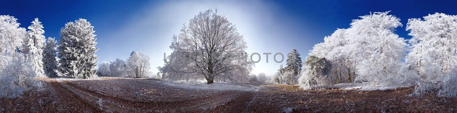 This natural spectacle with icy forest and blue sky could only be seen for a short time. The 360° image is made up of 28 images with PtGui composite.
