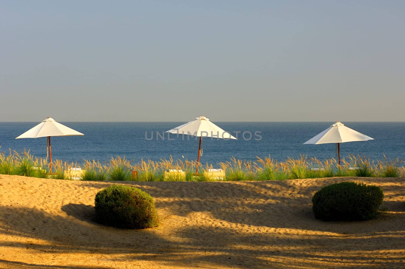 Umbrellas on the beach