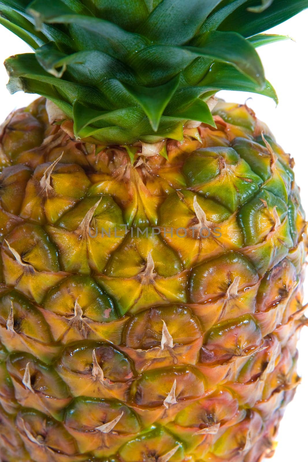 Pineapple