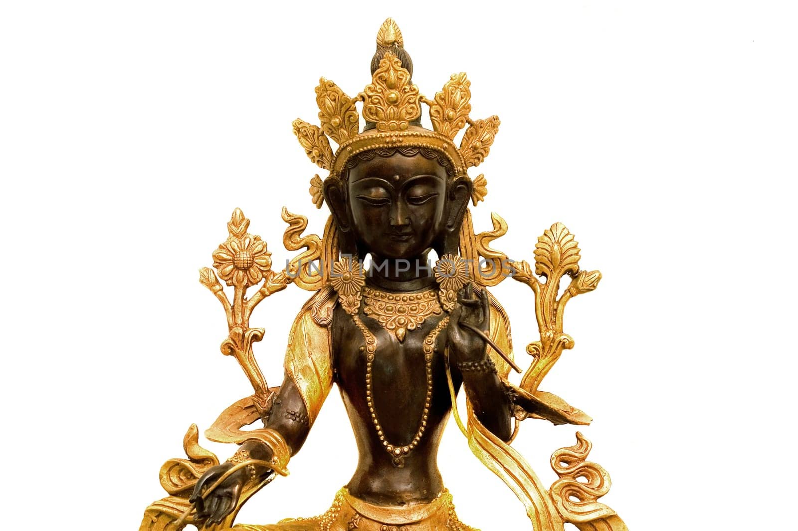 Tara sitting