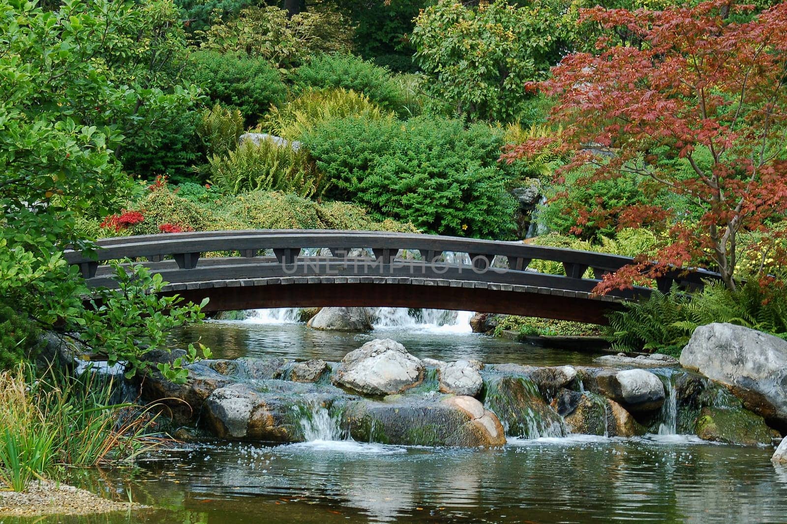 The Bridge
