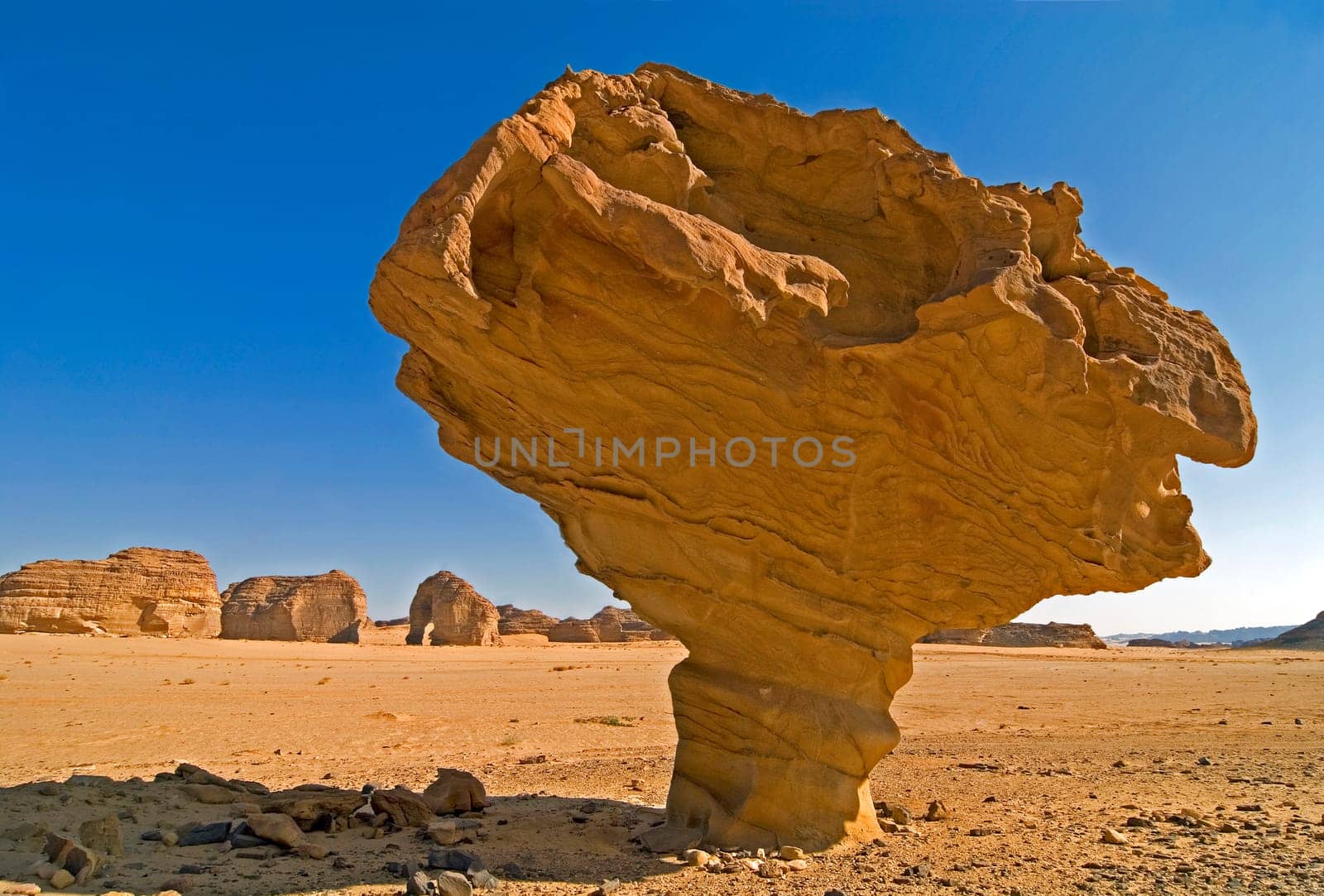 Bizarre sandstone formations formed by wind,northern Saudi Arabia.