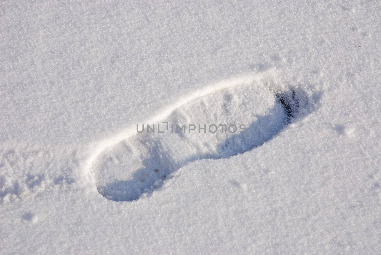 Imprint