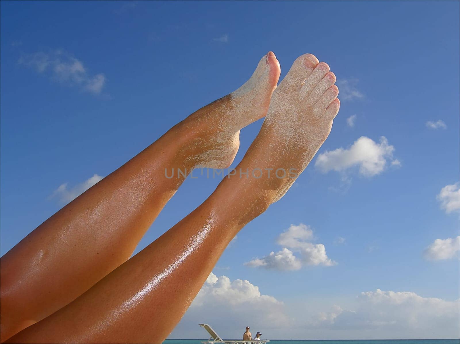 Legs