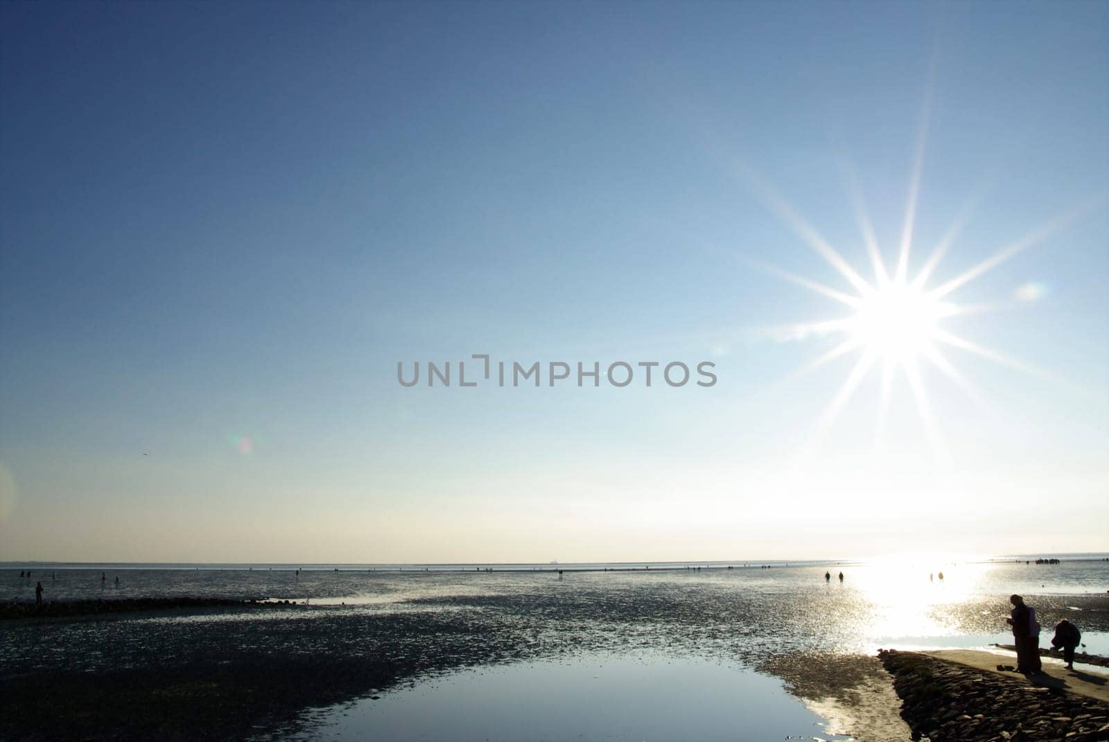 Wadden Sea1