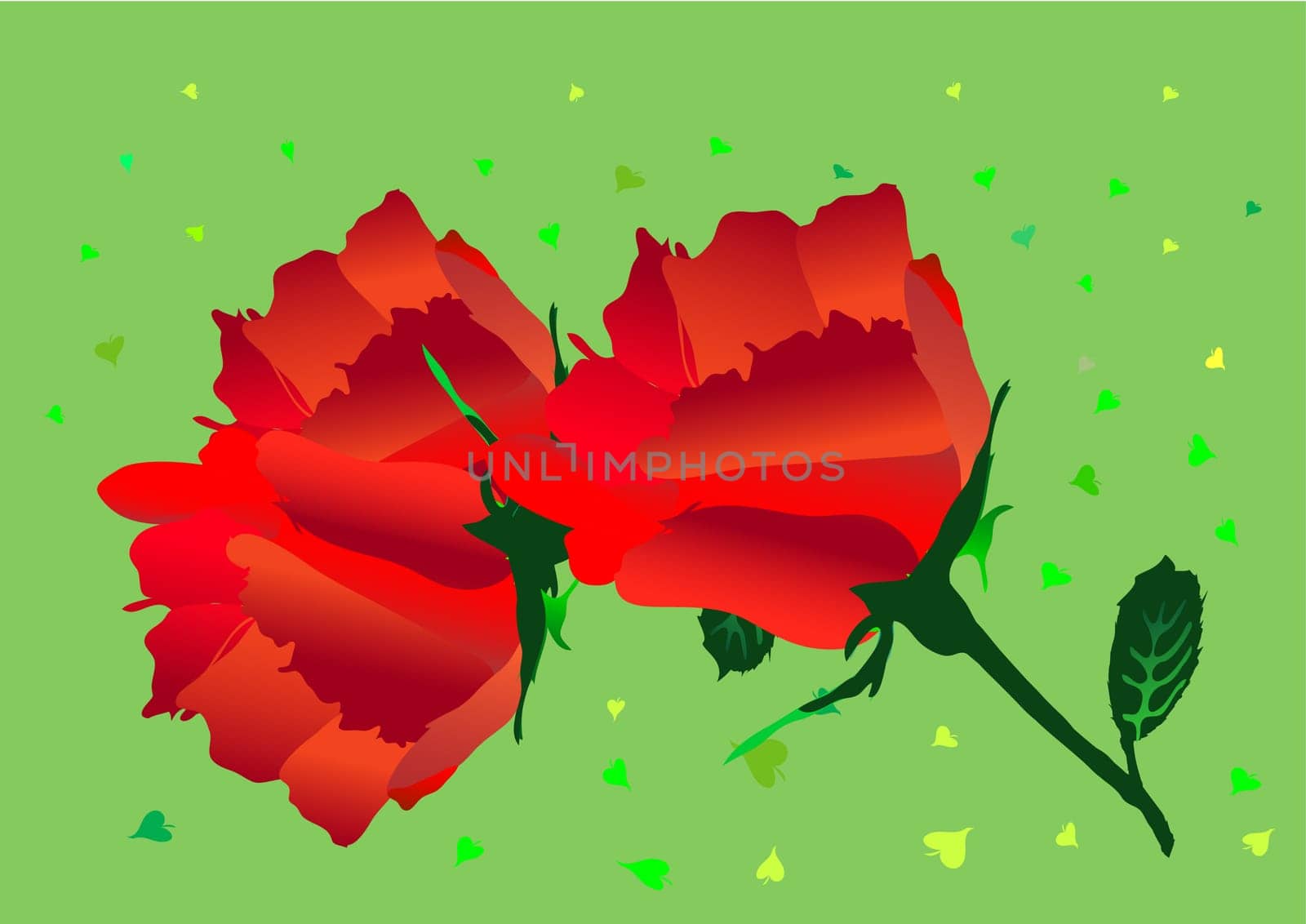 Red roses - vector