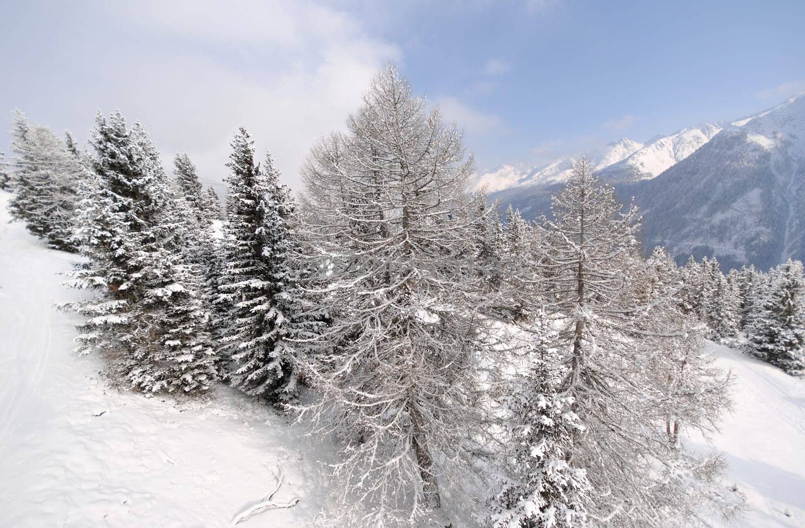 White as snow