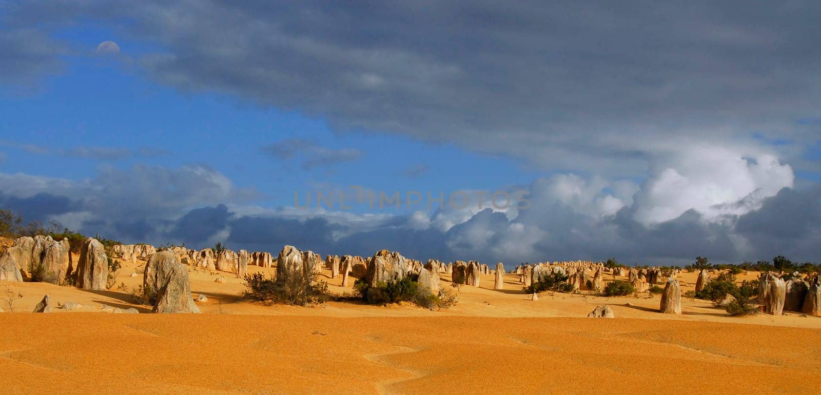 Located in the heart of Nambung National Park,the Pinnacle Desert is one of the continent's best-known attractions. It's hard to say what impresses more about it,the bright yellow color of the sand or the bizarrely shaped limestone columns that Pinnacl