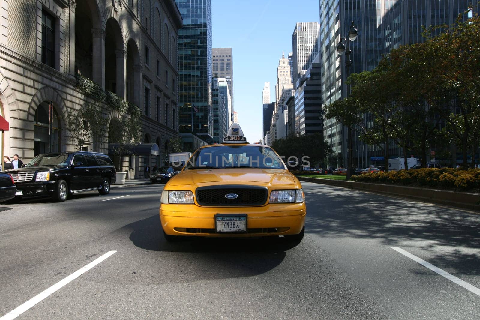 Taxi Driver
