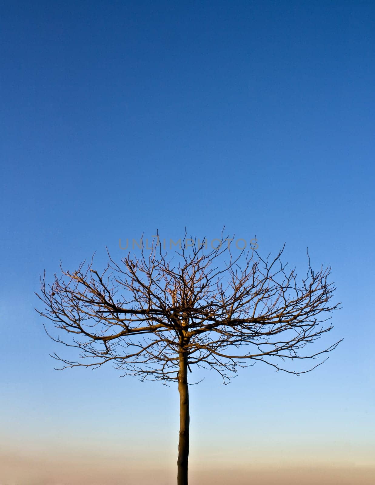 Alone