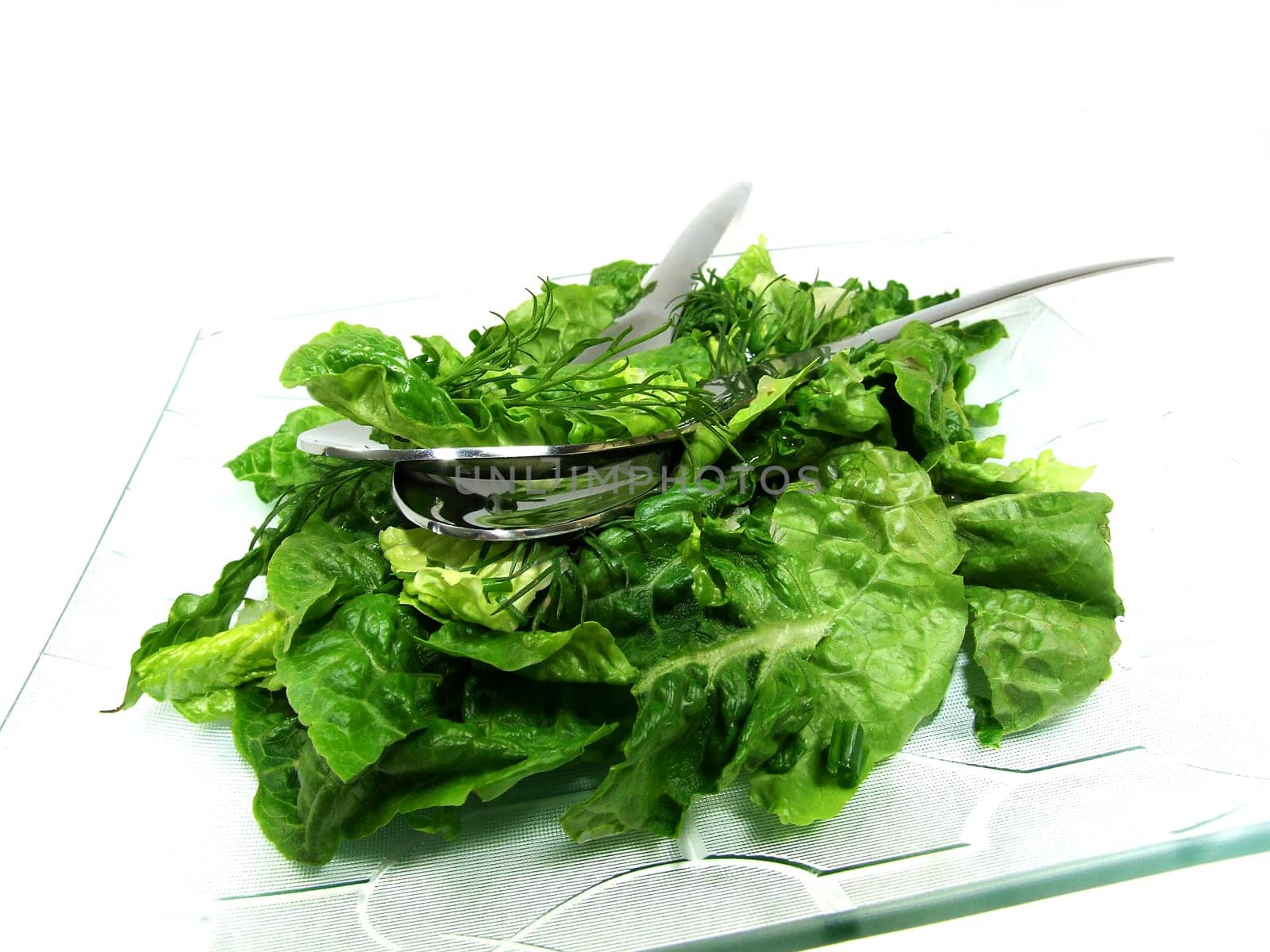 lettuce