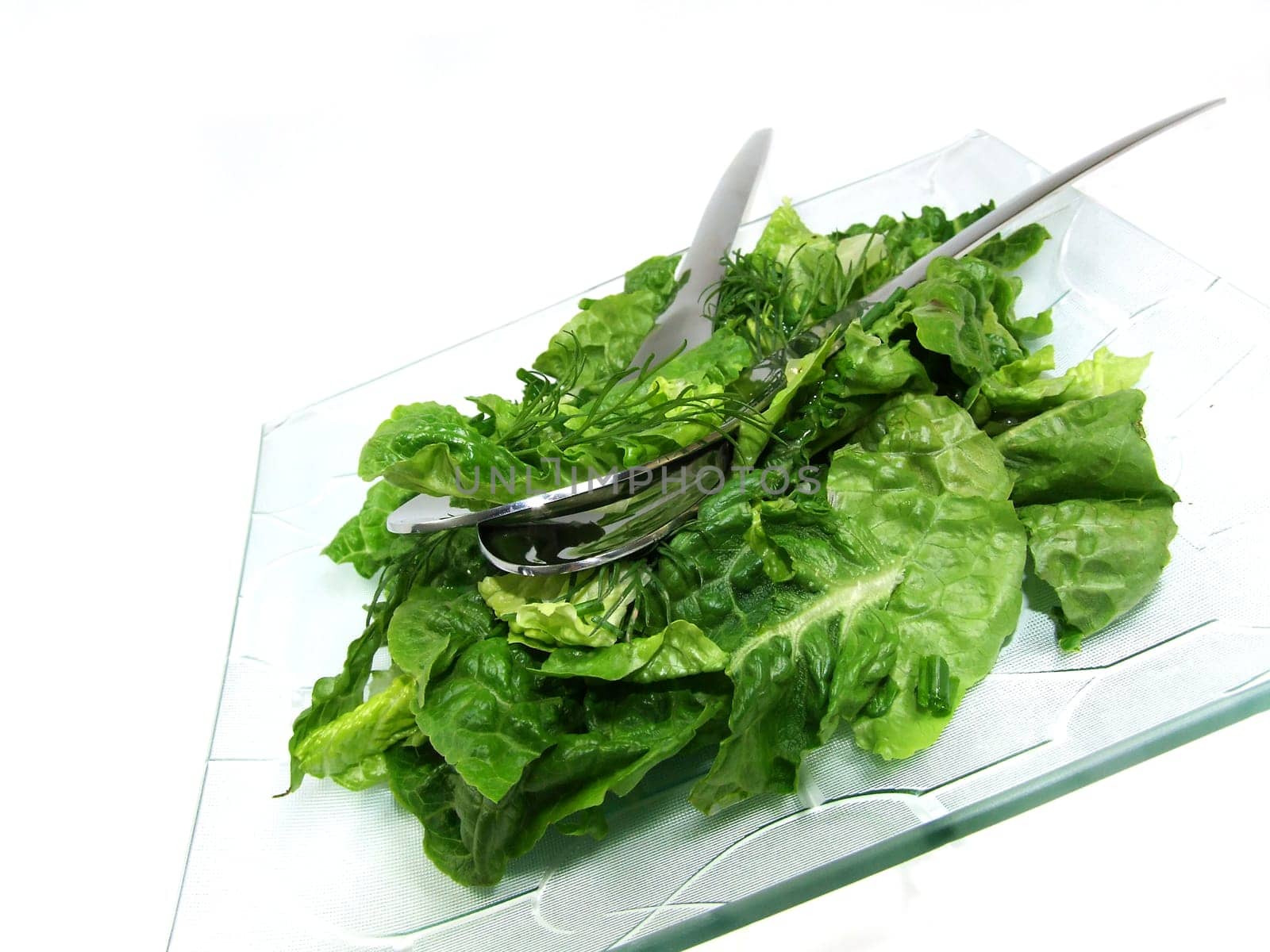 lettuce