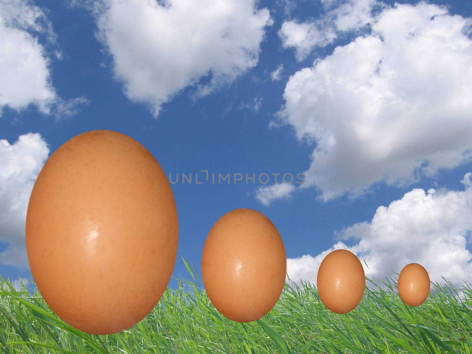 Four Eggs