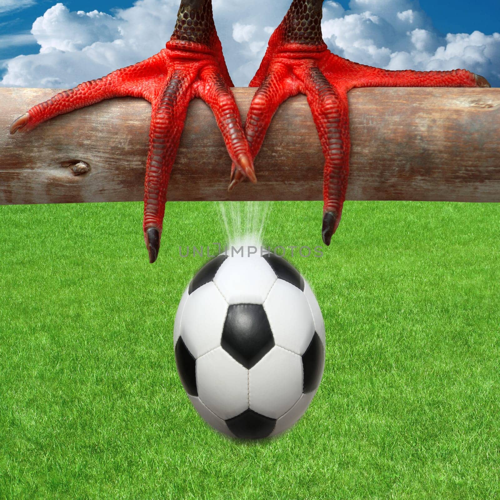 Football Birth