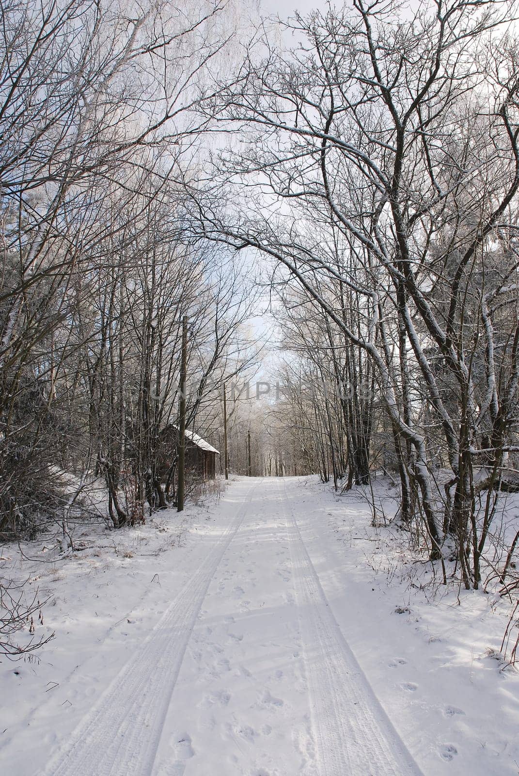 Winter