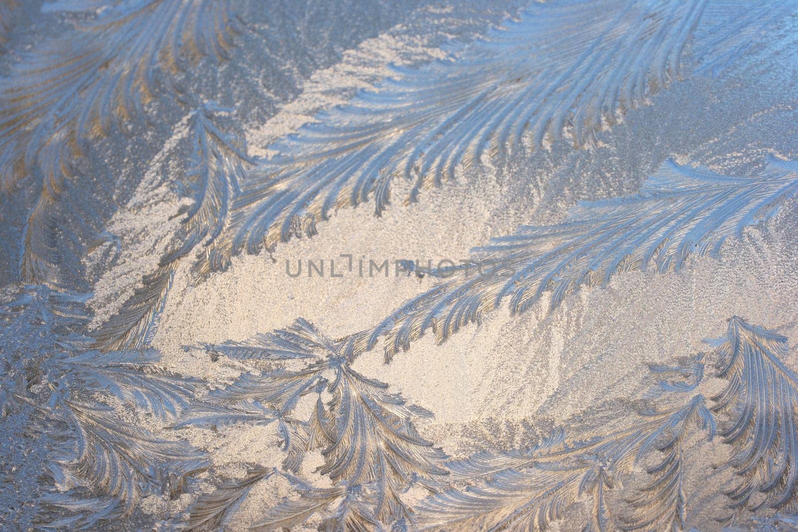 Ice Flowers