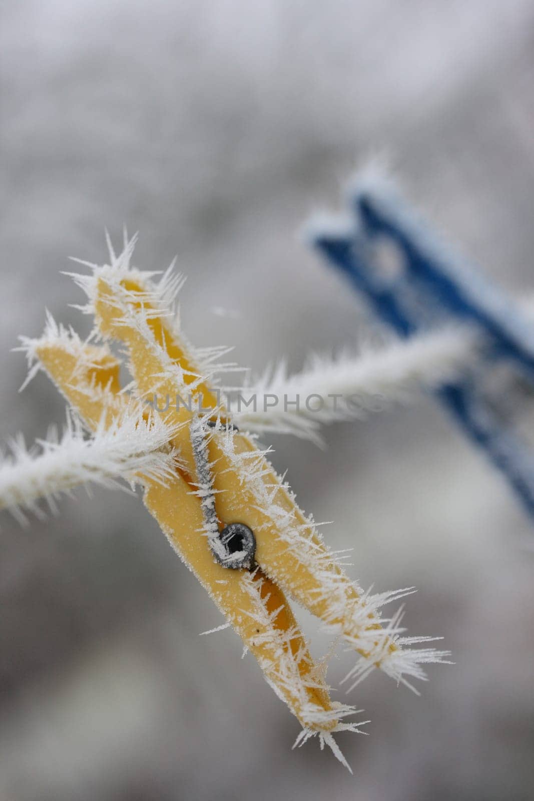 Wintertime